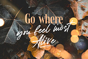 Formetor Script font!, a Script Font by kavoon (Thumbnail 8 of 14)