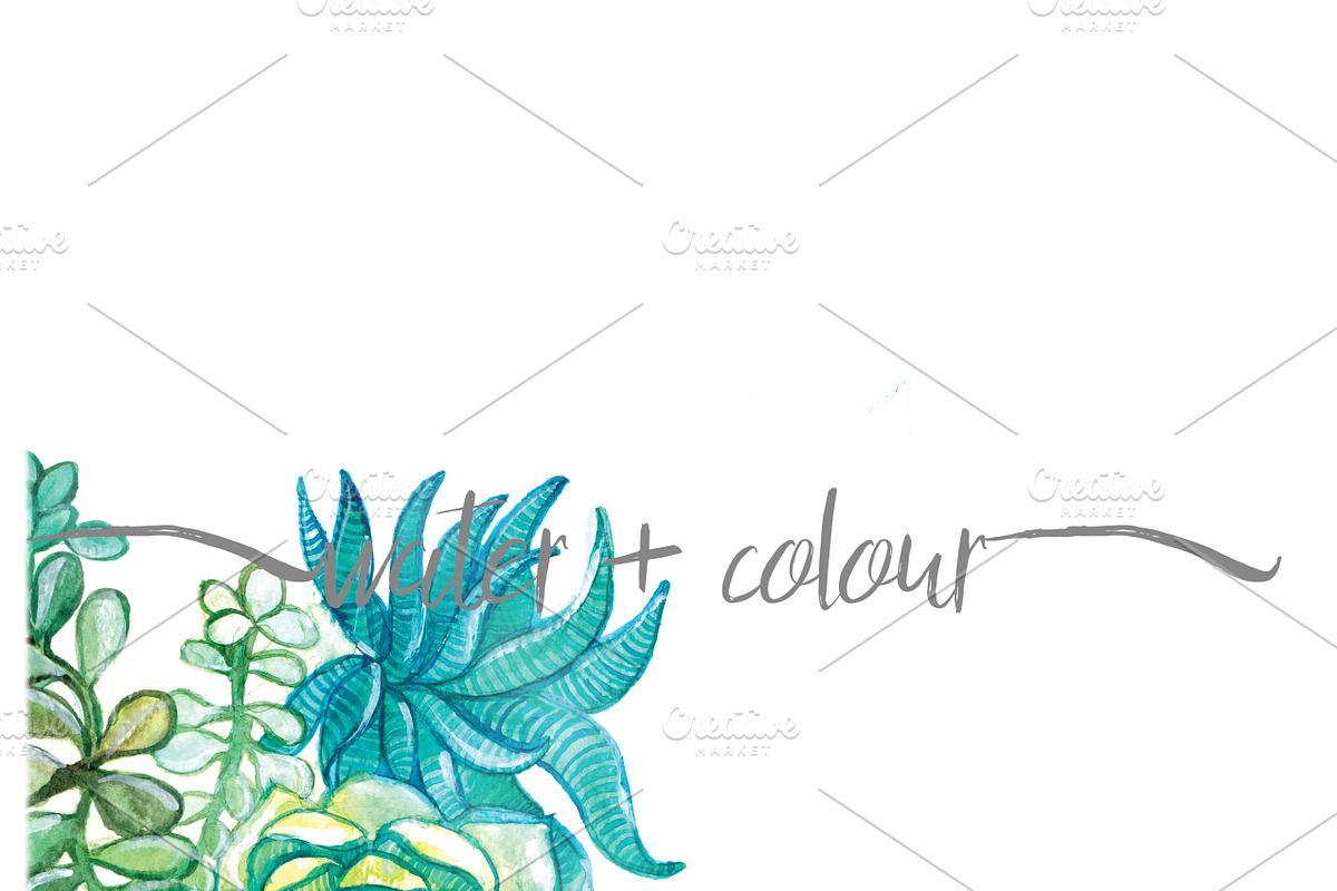 watercolor succulents, an Illustration by water + colour (Photo 1 of 2)