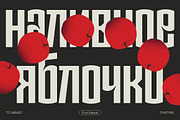 TT Carvist, a Sans Serif Font by TypeType (Thumbnail 10 of 15)