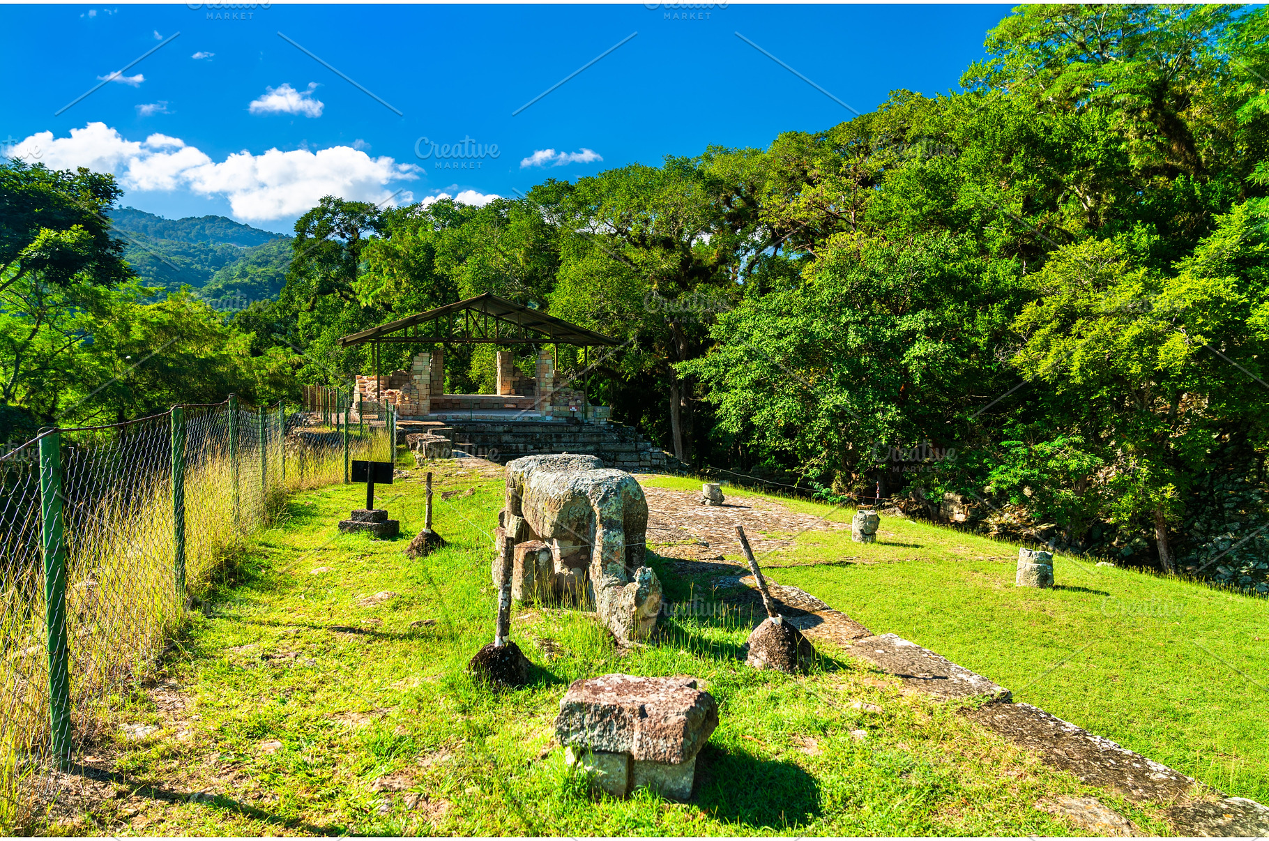 Maya Ruins in Copan, Honduras -, an Architecture Photo by Leonid Andronov
