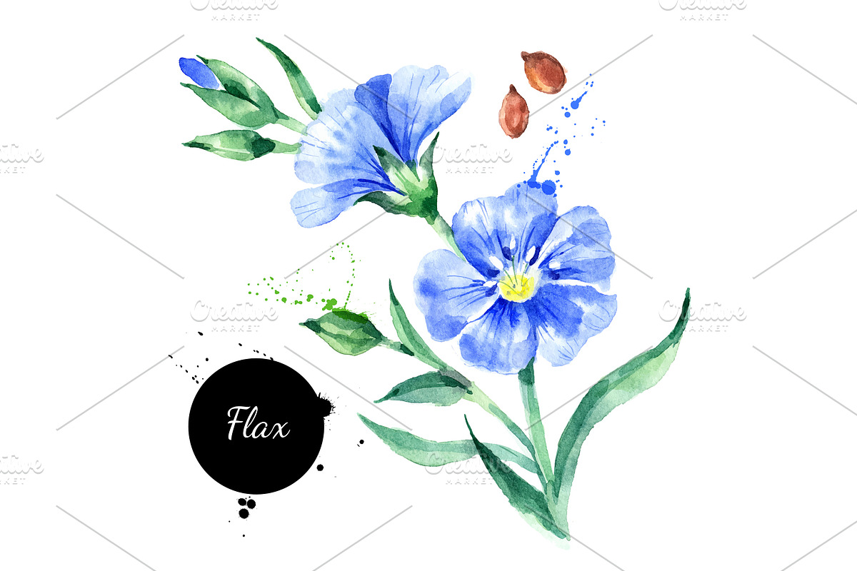 Watercolor Superfood Vector Set, a Food Illustration by Elena Pimonova (Photo 2 of 5)