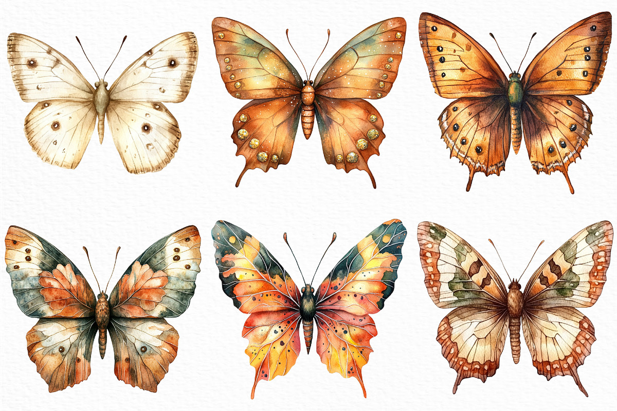 Watercolor Autumn butterflies PNG, an Illustration by Craft Nest (Photo 4 of 6)