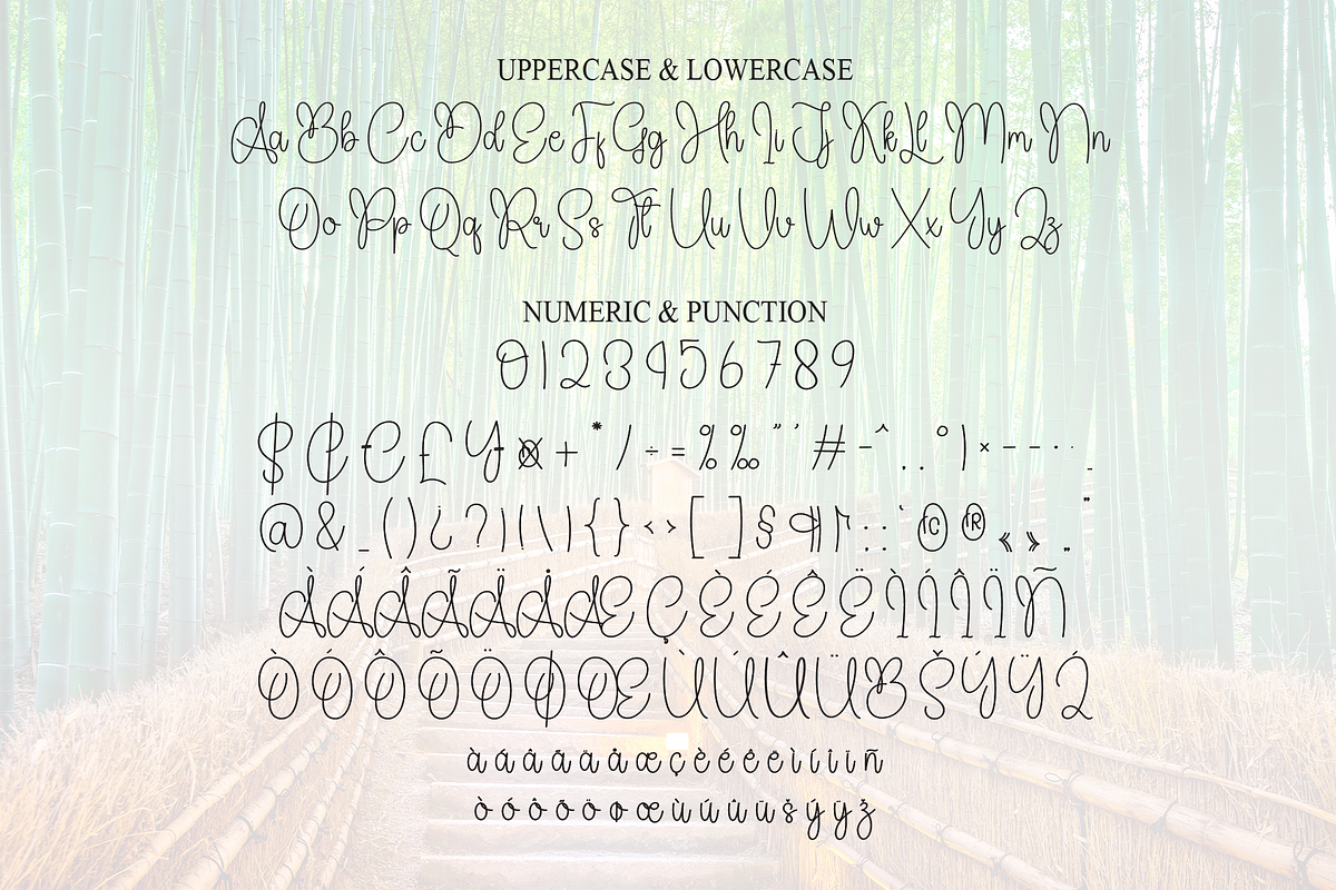 Amazing | Script Font, a Handwritten Font by Scratchones (Photo 7 of 8)