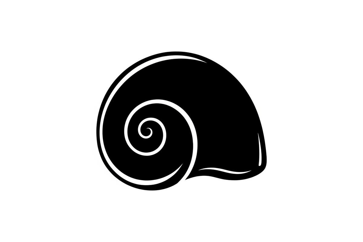 Shell Silhouette Vector Bundle, an Illustration by hafijul (Photo 48 of 48)