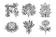 Elegant Plants and Flowers, an Icon by Vector Portal (Thumbnail 2 of 4)