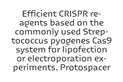 RNS Laxgo, a Sans Serif Font by RNS Fonts (Thumbnail 3 of 9)