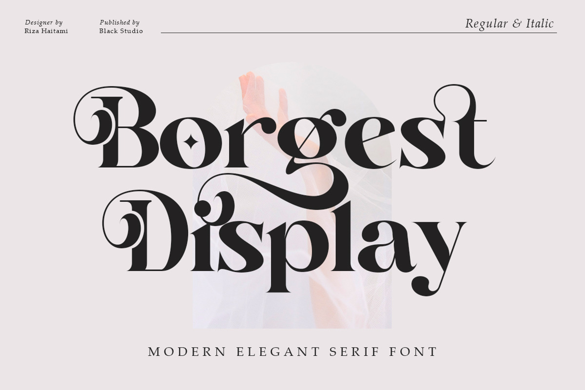 Borgest Display, a Serif Font by Black Studio (Photo 1 of 15)