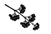 Floral Ornament Silhouette Bundle, an Illustration by BIPLOB EXPERT (Thumbnail 45 of 51)