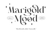 Mongela - Elegant Serif, a Serif Font by Novitype (Thumbnail 3 of 14)