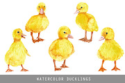 Watercolor Cute Ducklings 