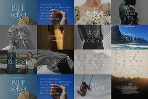 Elegance Typography Bundle