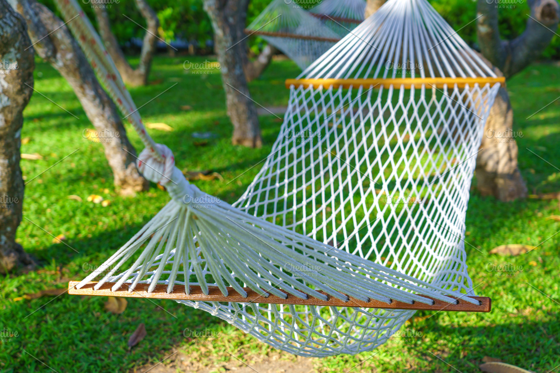 hammock in a garden with green grass for relaxation, a Sports & Recreation Photo by Casanowe-studio