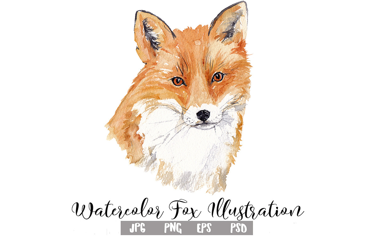 Watercolor Fox Illustration, an Animal Illustration by Foxery Digital (Photo 1 of 5)