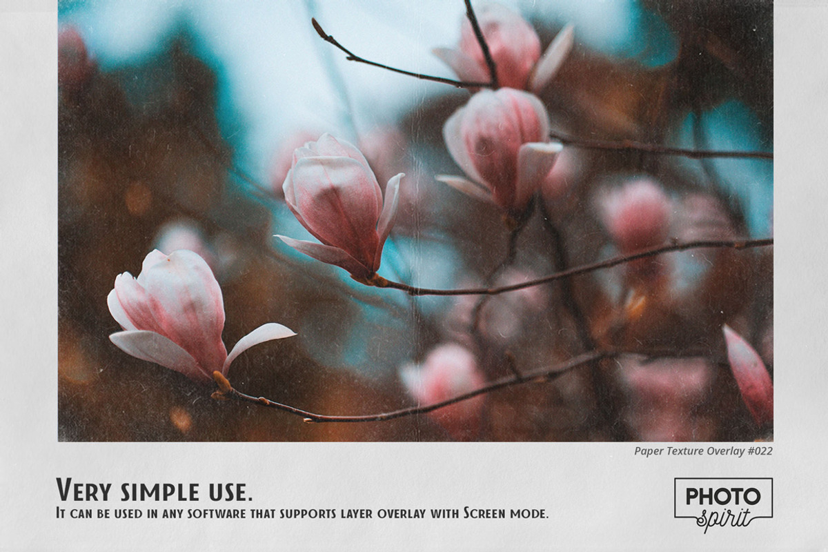 Paper Texture Effect Overlays, a Brushes & More by PhotoSpirit (Photo 6 of 9)