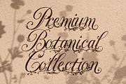 FLORAL DECORATIVE FONT COLLECTION, a Script Font by HypeWorksCo (Thumbnail 3 of 18)