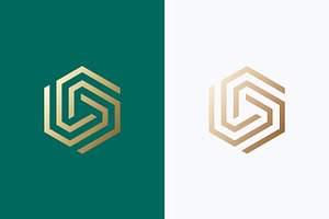 Hexagonal Geometric Linear Logo, a Branding & Logo Template by Signatoro