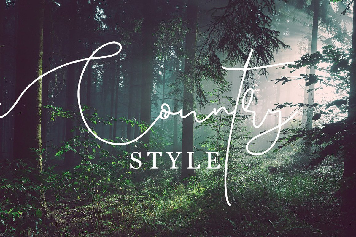 Pattersonville Script Font preview 7