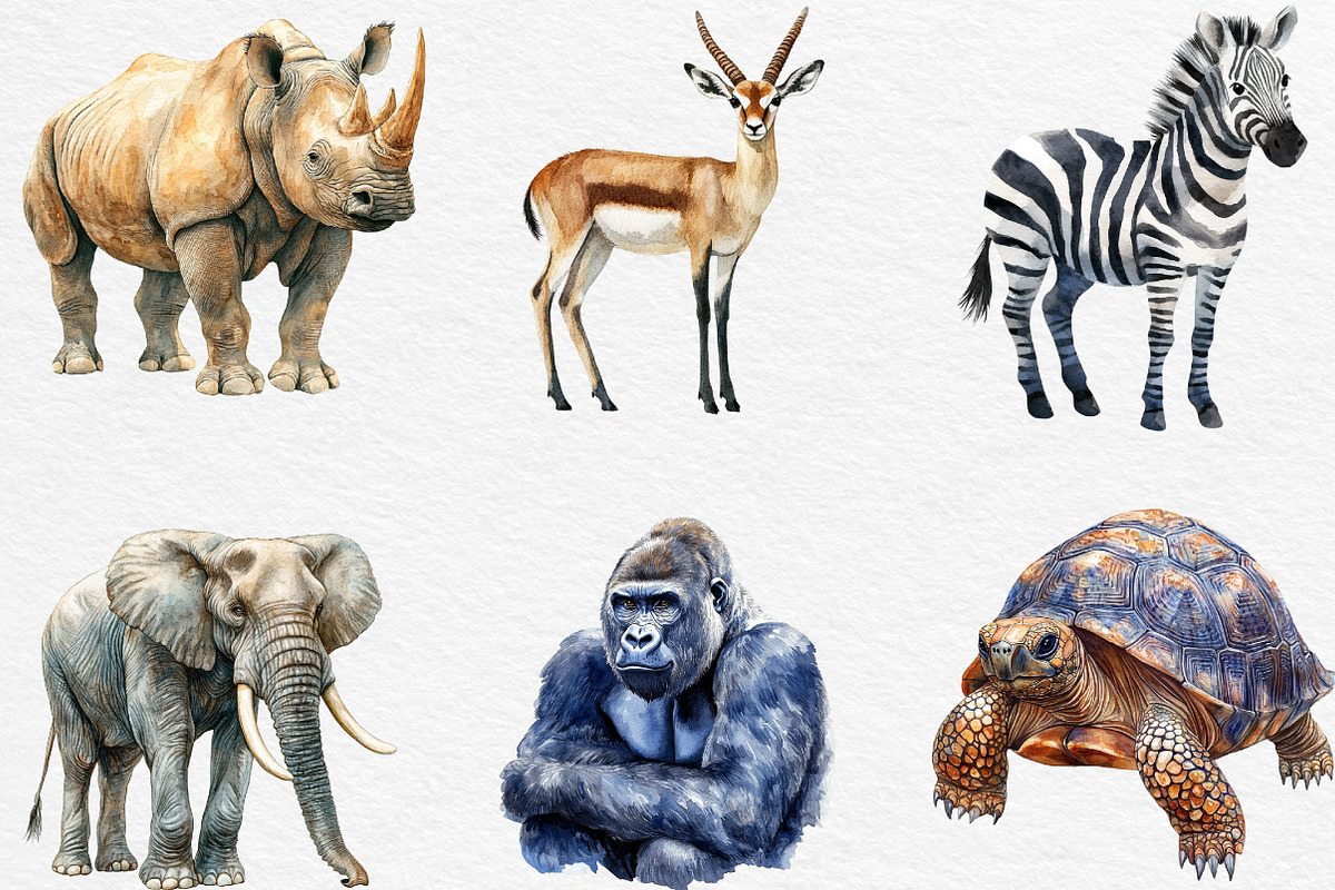 Wild Animals Of Africa PNG, an Illustration by Black Bird Studio (Photo 6 of 6)