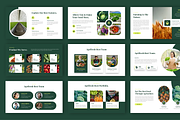 Agrifresh - Agriculture PowerPoint, a Presentation Template by Biwarastudio (Thumbnail 3 of 5)