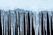 Icicles isolated from background, a Nature Photo by Countryside life (Thumbnail 12 of 22)