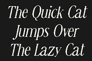 CS Ristela Pixel, a Serif Font by Craft Supply Co. (Thumbnail 3 of 8)