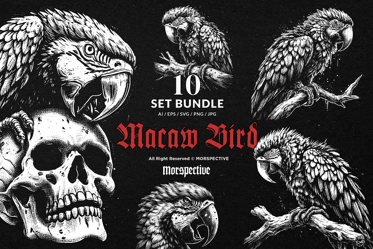 10 Bundle Dark Art Macaw Bird Parrot, an Illustration by Morspective (Photo 1 of 7)