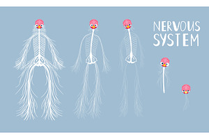 Tired human central nervous system, an Illustration by Stock-Smart-Start