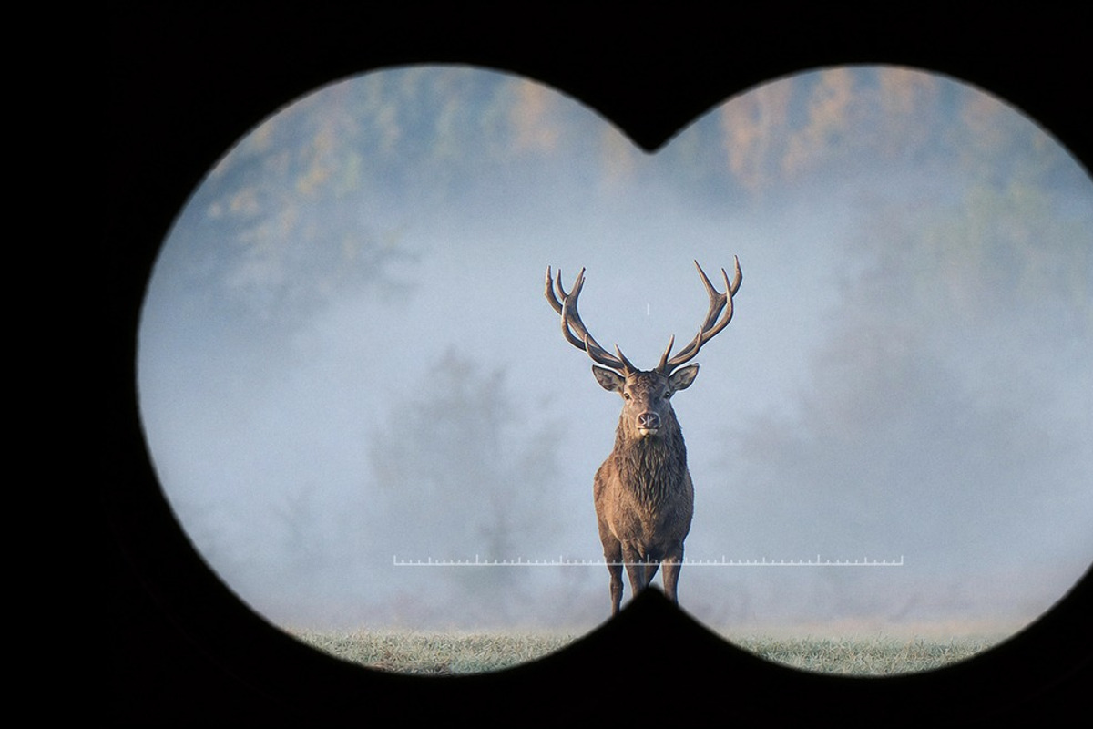 Binocular Photo Effect Template, a Social Media Template by DesignerCandies (Photo 2 of 3)
