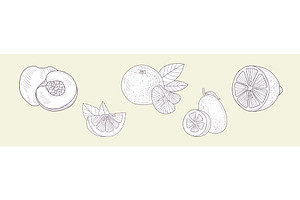 Hand Drawn Fruit and Fresh Juicy, a Food Illustration by TopVectors