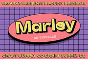 CS Marley 3D, a Sans Serif Font by Craft Supply Co. (Thumbnail 1 of 8)