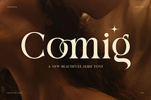 Comig Elegant Serif Font