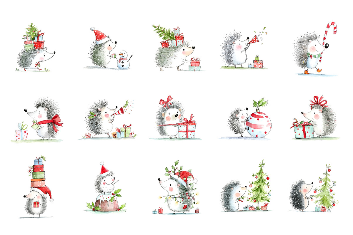 Christmas Hedgehog Clipart, a Seasonal Illustration by Nicolle's Colorful Art (Photo 6 of 7)