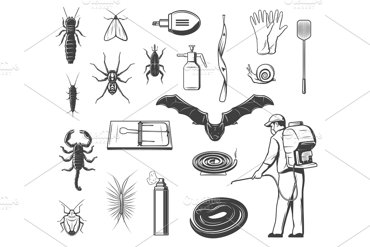 Pests control equipment, insects, an Animal Illustration by Vector ...