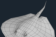3DRT - Sealife - Stingray, an Animal 3D Model by 3DRT.com (Thumbnail 3 of 3)