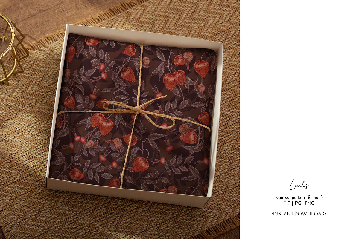 PHYSALIS GARDEN — Botanical Patterns, a Decorative Illustration by Liiafis (Photo 17 of 17)