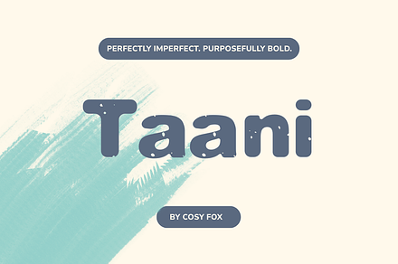 Taani Chunky Sans Serif Font