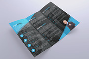 Trifold Brochure Template, a Brochure Template by Alice_s (Thumbnail 2 of 6)