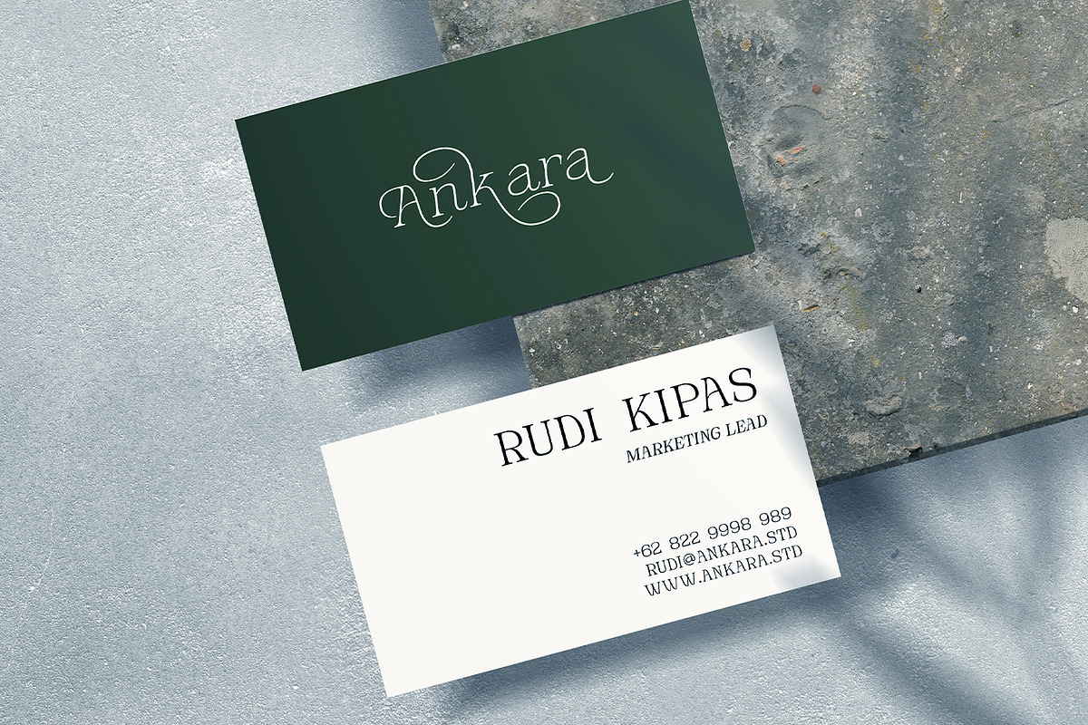 Novarick, a Serif Font by din-studio.com (Photo 6 of 16)