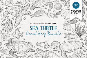 Sea Turtle Coral Reef Vector Art