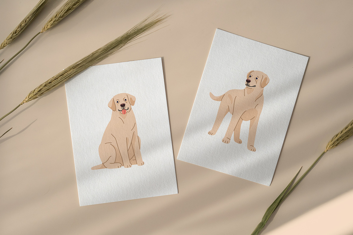 Labrador retriever dog set, patterns, an Animal Illustration by Good Studio (Photo 10 of 11)