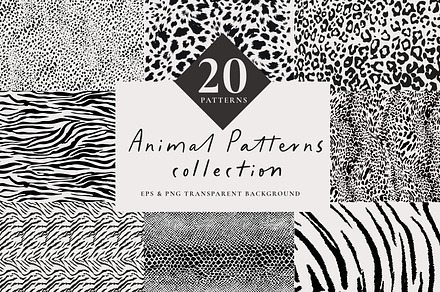 Animal Print Patterns