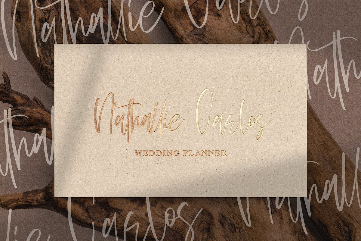 Sellviny Queen - Handwritten Font, a Script Font by StringLabs (Photo 5 of 10)