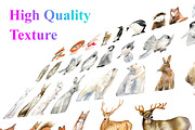 Watercolor Christmas Elements, an Animal Illustration by Digital Studio (Thumbnail 2 of 7)