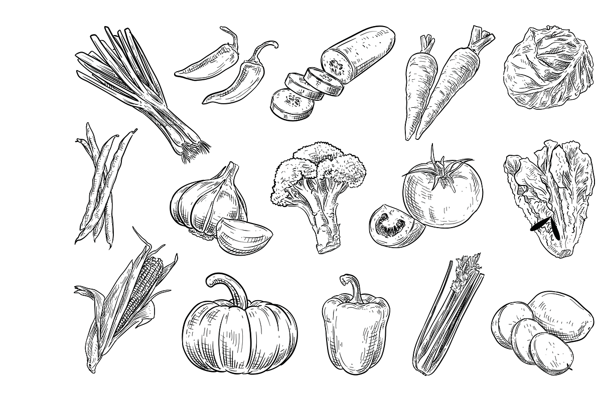 vegetables handdrawn collection, an Object Graphic by nikagraphic