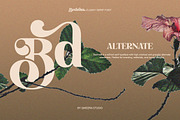 Bedross - Modern Elegant Serif, a Serif Font by Qweera Studio (Thumbnail 9 of 12)