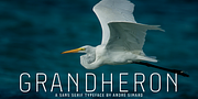 Grandheron Sans, a Sans Serif Font by André Simard (Thumbnail 1 of 13)