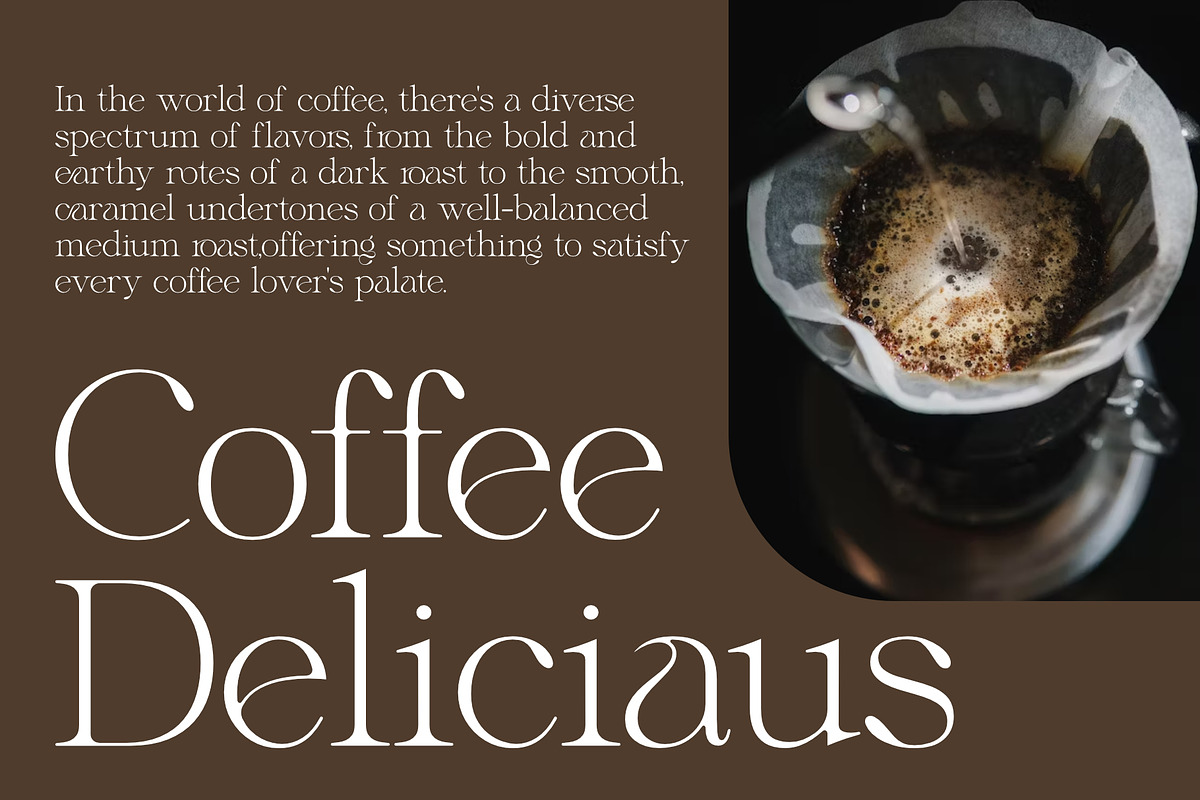 Megans | Elegant Stylish Serif, a Serif Font by Sealoung (Photo 6 of 16)