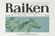 Raiken - Serif font family, a Serif Font by Artistic & Unique (Thumbnail 2 of 14)