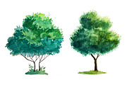 Watercolor Trees, an Illustration by AlexGreenArt (Thumbnail 5 of 6)