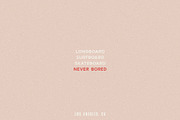 Silverlake | A Mid Century Font Duo, a Sans Serif Font by Touch and Form (Thumbnail 4 of 6)